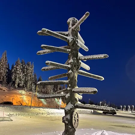 Arctic Sky