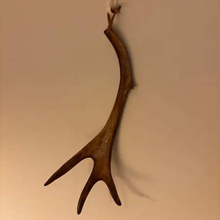 Arctic Sky Apartment *