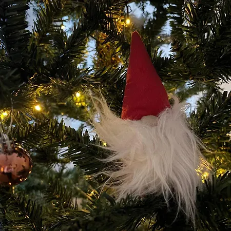 Arctic Sky Daire Rovaniemi