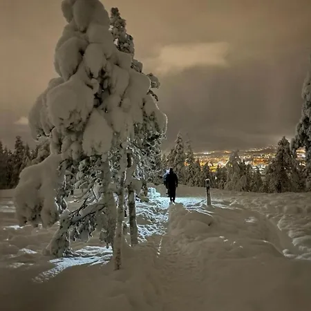 Arctic Sky * Rovaniemi