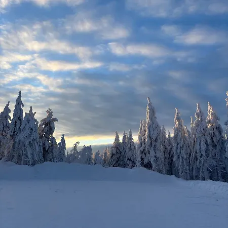 Arctic Sky Rovaniemi