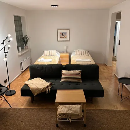 Arctic Sky רובניימי