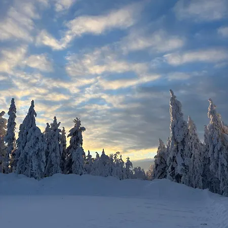 Apartamento Arctic Sky