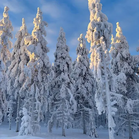 Arctic Sky Rovaniemi