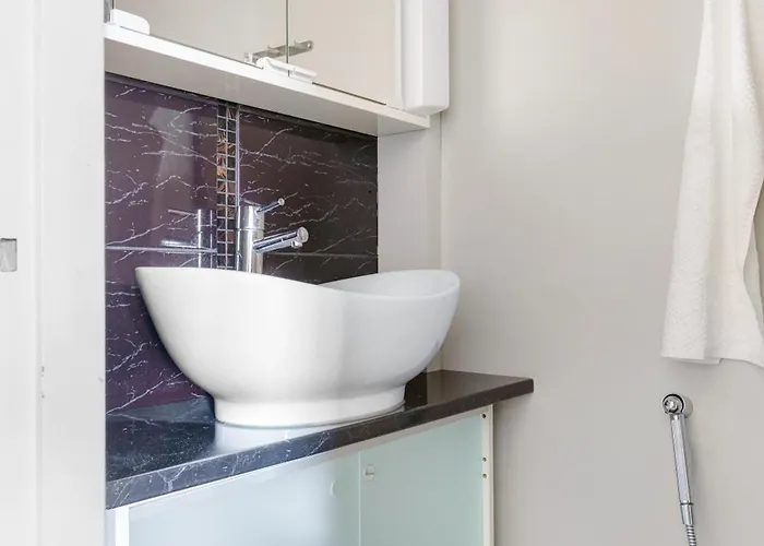 Arctic Sky רובניימי