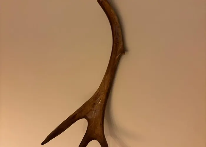 Arctic Sky דירה *