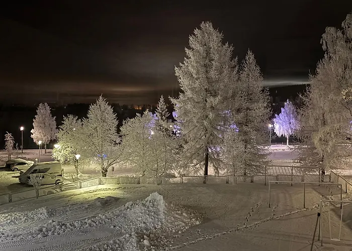 Arctic Sky * רובניימי