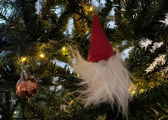 Arctic Sky דירה רובניימי