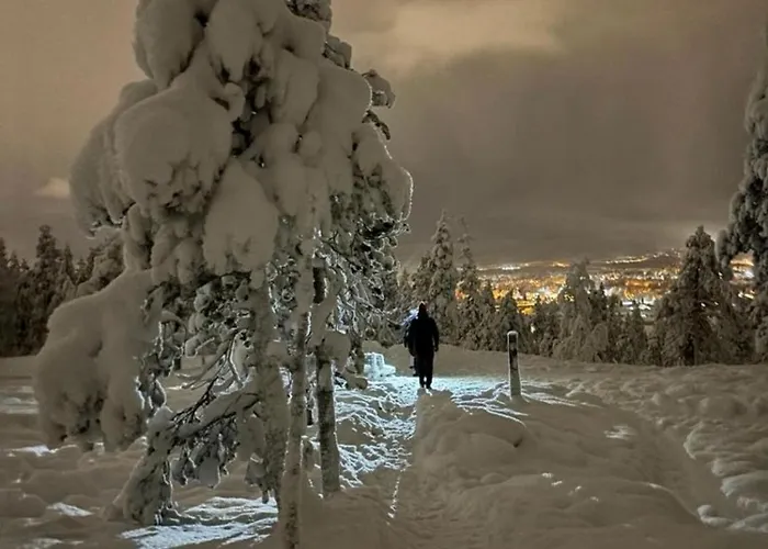 Arctic Sky * רובניימי