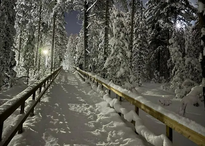 Arctic Sky רובניימי