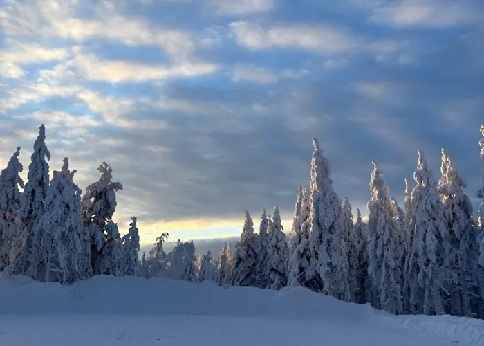 Arctic Sky רובניימי