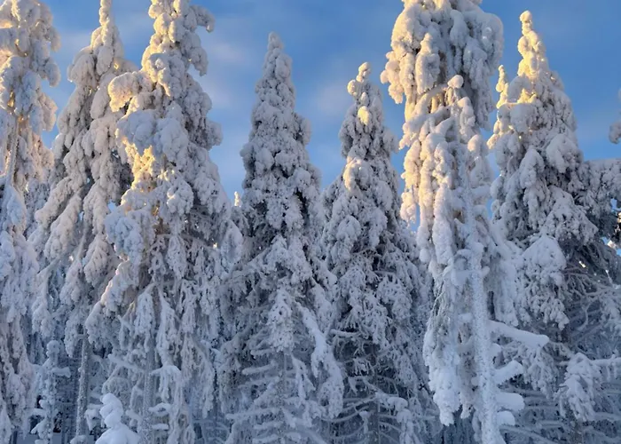 Arctic Sky רובניימי